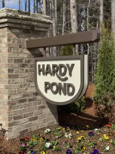 Hardy Pond by David Weekley Homes in Rock Hill - image