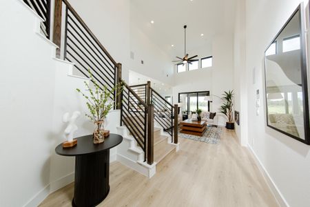 Copia Pines: Copia Pines 50' Homesites 7