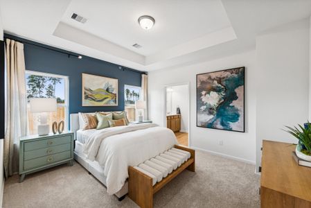 Audubon 40's by Smith Douglas Homes in Magnolia - image 10