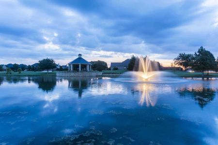Liberty: Artisan Series - 50ft. lots by Highland Homes in Melissa - photo 14 14