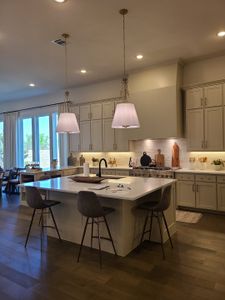Windsong Ranch – 61′ by Tradition Homes in Prosper - photo 35 35