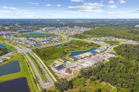 Chapel Crossings by M/I Homes in Wesley Chapel - image 8