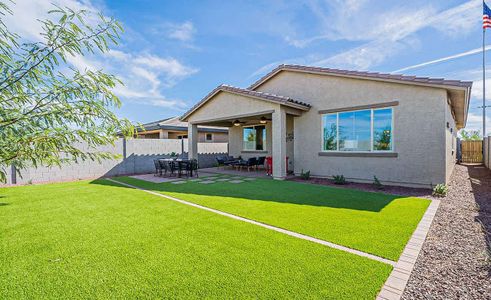 Acacia - Backyard Patio