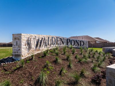 Walden Pond by Rockwell Homes in Forney - image 11