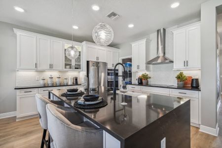 Whispering Oaks Preserve by M/I Homes in Wesley Chapel - photo 24 24