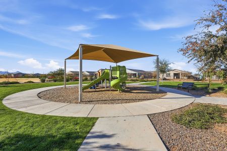 Bella Vista Farms by Mattamy Homes in Queen Creek - image 16