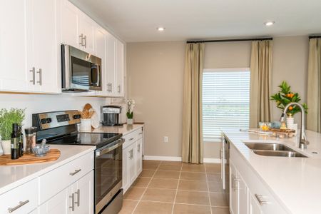 Aden South at Westview by Taylor Morrison in Kissimmee - photo 40 40