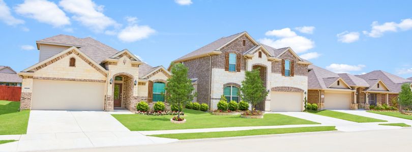 Shaded Tree: Brookstone Collection by Lennar in McKinney - photo 0 0