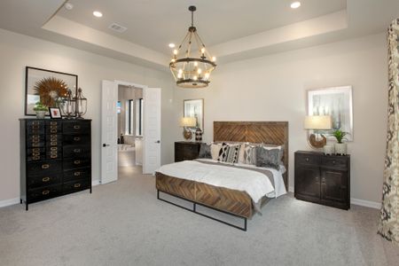 Meridiana 65 by Drees Custom Homes in Manvel - photo 27 27