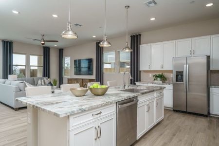 The Ridge at Sienna Hills by William Ryan Homes in Buckeye - photo 58 58