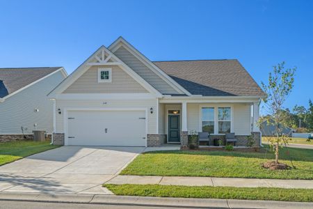 Spring Oaks by Dream Finders Homes in Conway - image