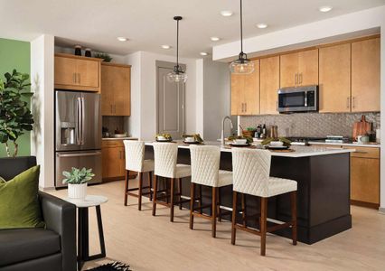 Timnath Lakes - Paired Homes by David Weekley Homes in Timnath - photo 7 7