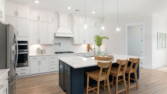 Fiddler Cove by DRB Homes in Mount Pleasant - photo 52 52