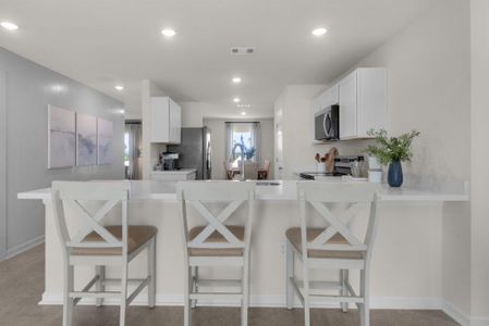 Salt Creek At Mexico Beach by Holiday Builders in Mexico Beach - image 8