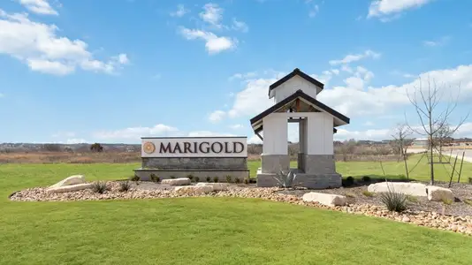 Marigold by D.R. Horton in Kyle - image