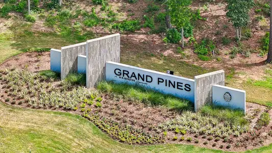 Grand Pines by D.R. Horton in Magnolia - photo 2 2