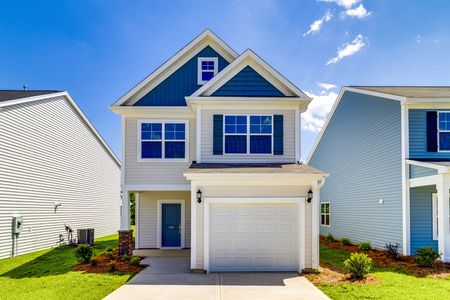 The Falls by Mungo Homes in Blythewood - image