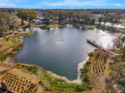 Oakland Park by Rockwell Homes in Winter Garden - photo 8 8