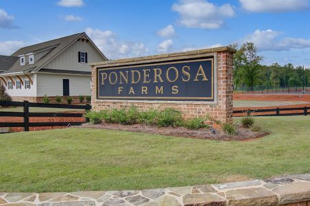 Ponderosa Farms by Chafin Communities in Gainesville - photo 1 1