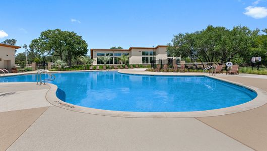 Lively Ranch Emerald by D.R. Horton in Georgetown - photo 71 71