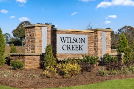 Wilson Creek Executive Series by KB Home in Indian Land - photo 18 18