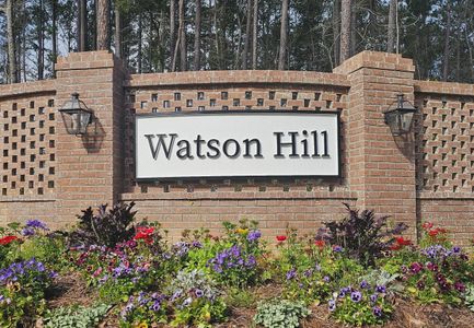 Watson Hill by Starlight Homes in Summerville - image
