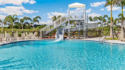 Farm at Varrea Townhomes by D.R. Horton in Plant City - photo 5 5