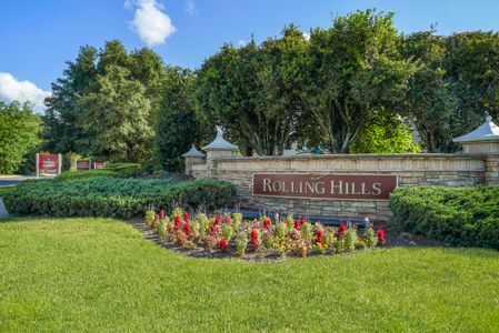 Shadow Crest at Rolling Hills by Adams Homes in Green Cove Springs - photo 4 4