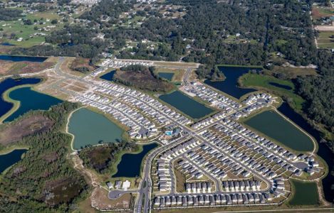 Two Rivers by Pulte Homes in Zephyrhills - photo 0 0