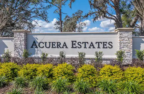 Acuera Estates by Beazer Homes in Apopka - photo 37 37