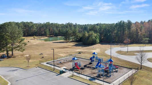 Roseleigh Park by D.R. Horton in Douglasville - image