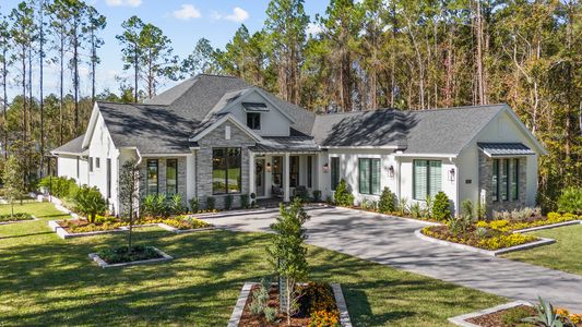 Southern Hills 65' by Perry Homes in Brooksville - photo 11 11