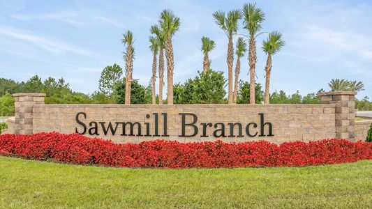 Sawmill Branch by D.R. Horton in Palm Coast - photo 0 0