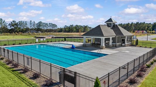 Harrier Point by DRB Homes in Woodruff - image 12