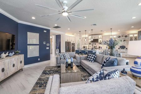 Triple Creek by Homes by WestBay in Riverview - photo 35 35