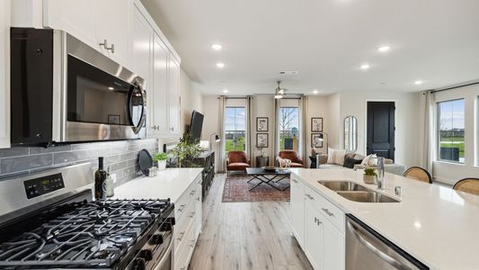 Painted Tree - Village District by CB JENI Homes in McKinney - image 9