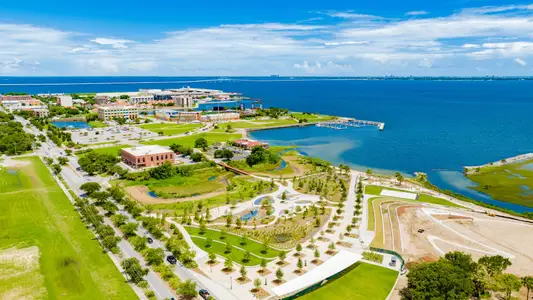 Bellview Pointe by Maronda Homes in Bellview - image