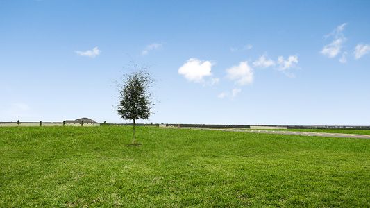 Scenic Terrace by Taylor Morrison in Lake Hamilton - photo 2 2