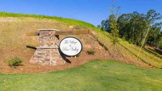 Village at Pine Valley by D.R. Horton in Gainesville - image