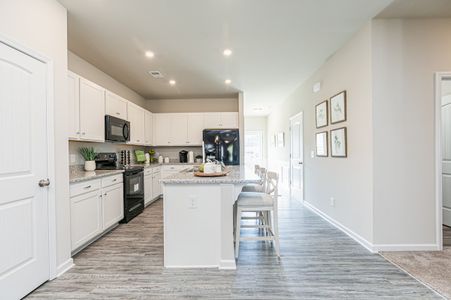 The Cottages of Silvertown by Smith Douglas Homes in Thomaston - image 9