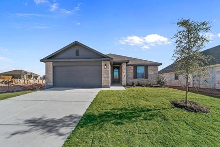 Park Place by Cambridge Homes in Anna - photo 9 9