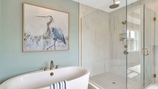 Primrose at Longleaf by DRB Homes in New Port Richey - image 3