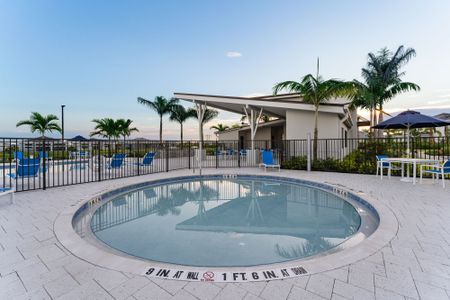 Tradition - Cadence - Townhomes by Mattamy Homes in Port St. Lucie - photo 2 2