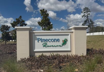 Pinecone Reserve by Starlight Homes in Brooksville - image