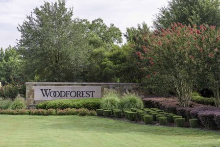 Woodforest 50′ by Tri Pointe Homes in Montgomery - photo 1 1