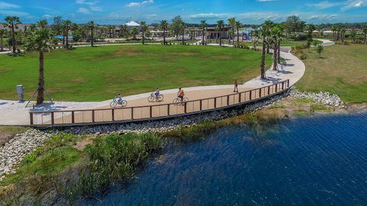 Waterset Cottage Series by David Weekley Homes in Apollo Beach - photo 21 21