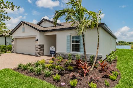 Trevesta by M/I Homes in Palmetto - photo 19 19