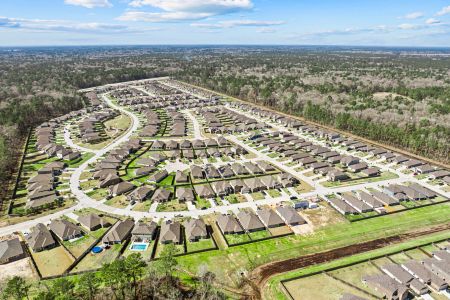 Pinewood at Grand Texas by M/I Homes in New Caney - photo 35 35