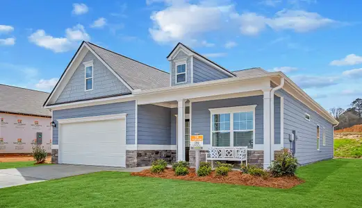 Marlin Pointe by Smith Douglas Homes in White House - image 13