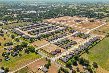 Mockingbird Hills – Premier Series by Landsea Homes in Joshua - photo 37 37